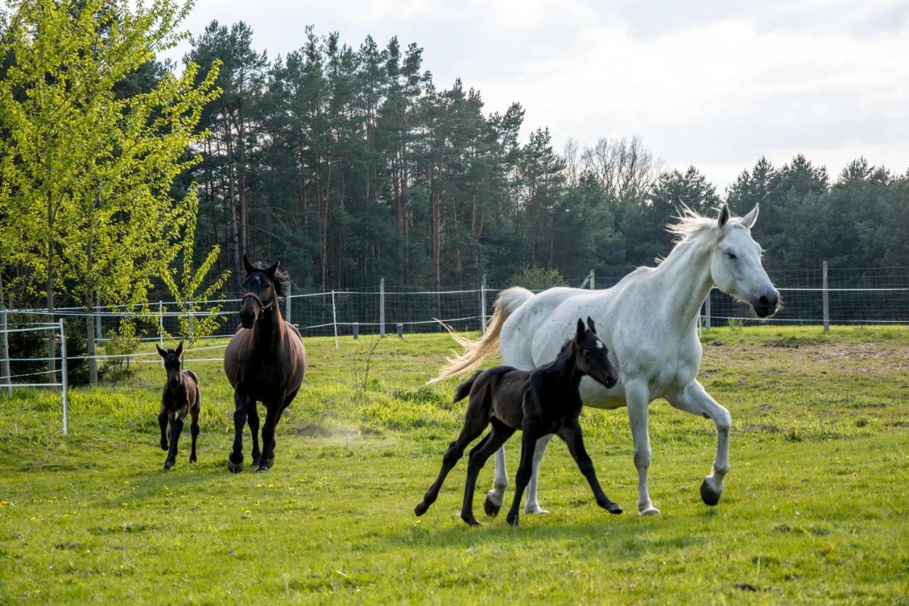 Modern Rancho - Apartamenty Nad Rzeka, Przy Stadninie Koni Kruszyna  Eksteriør billede