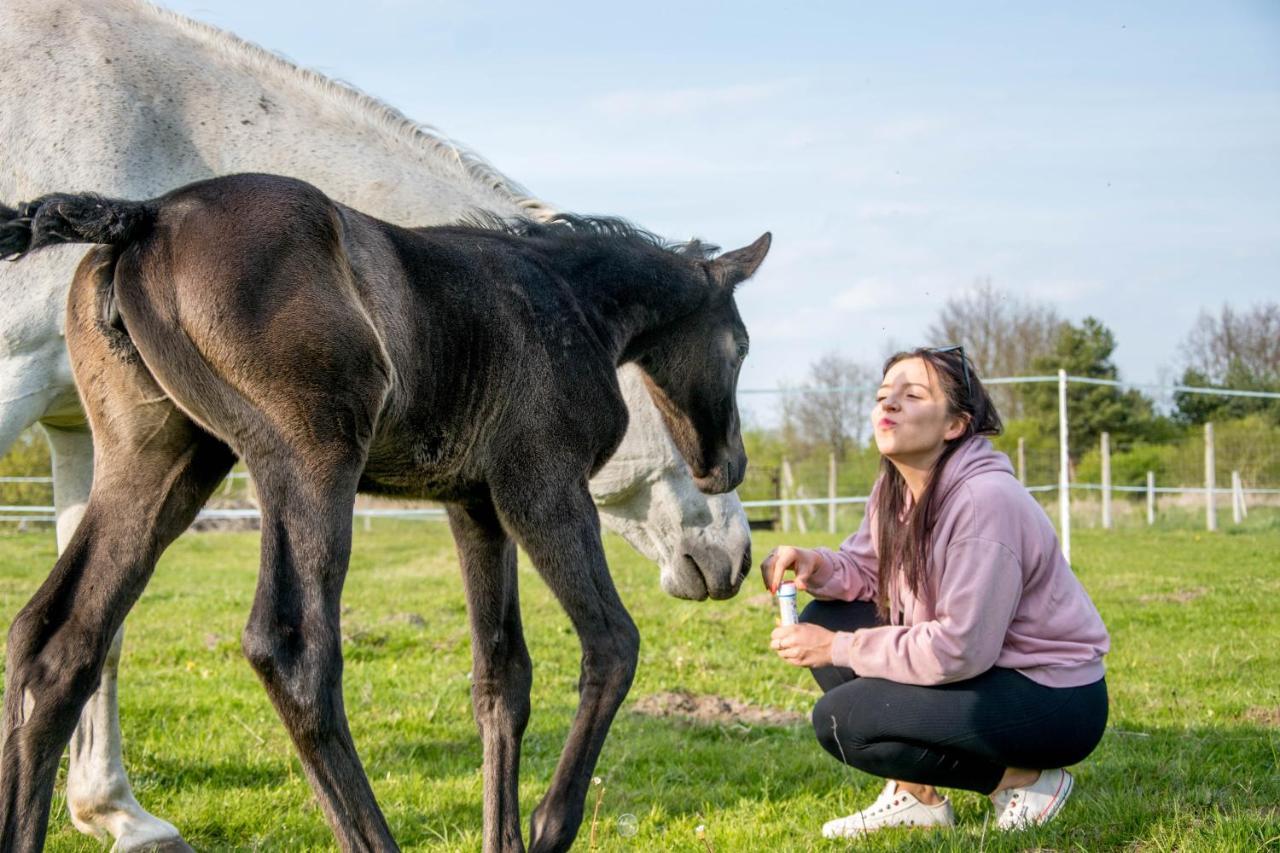 Modern Rancho - Apartamenty Nad Rzeka, Przy Stadninie Koni Kruszyna  Eksteriør billede