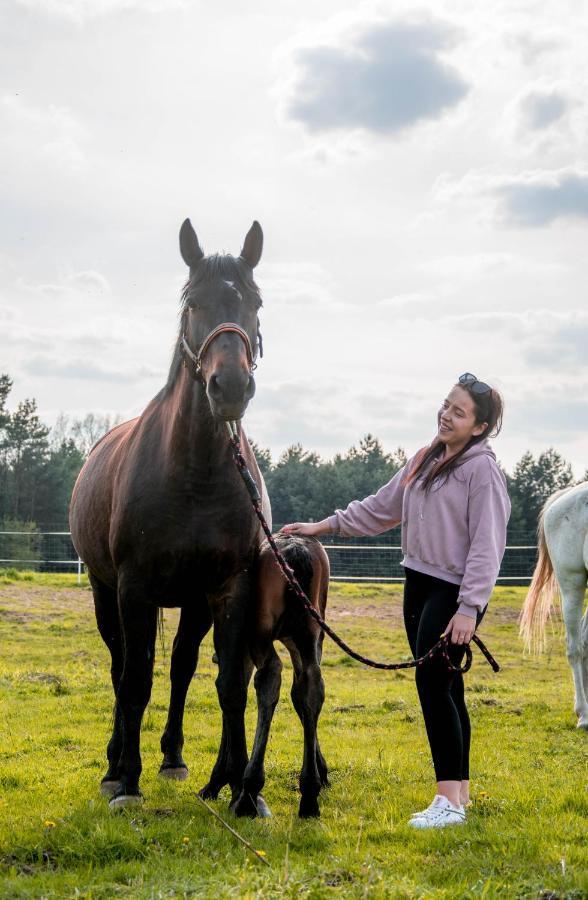 Modern Rancho - Apartamenty Nad Rzeka, Przy Stadninie Koni Kruszyna  Eksteriør billede