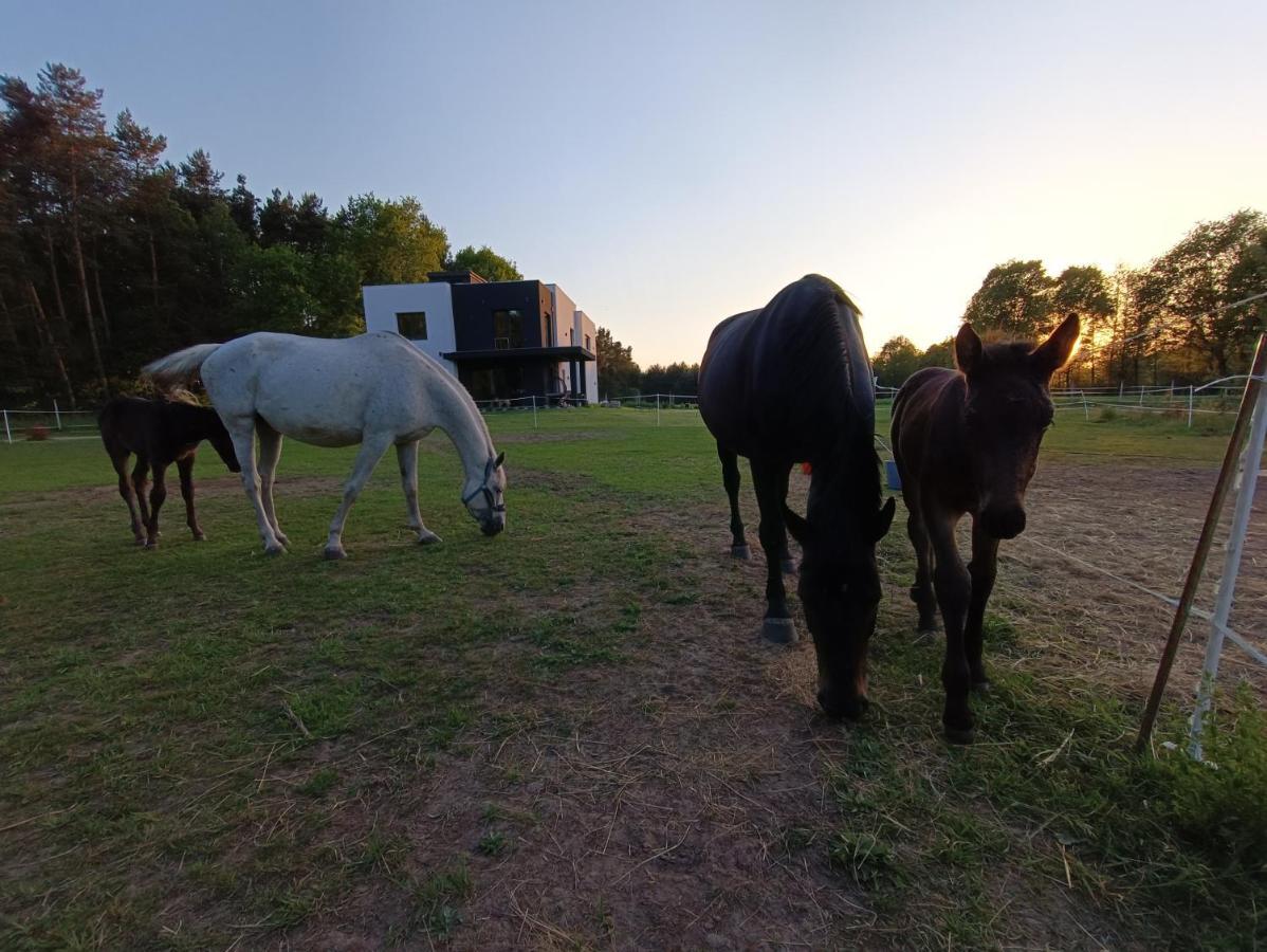 Modern Rancho - Apartamenty Nad Rzeka, Przy Stadninie Koni Kruszyna  Eksteriør billede